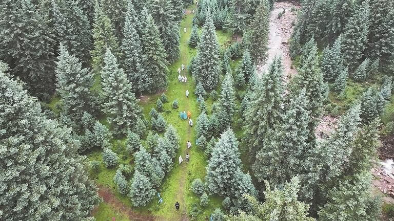 QQͼƬ20250903060749