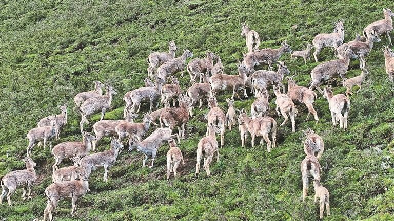 QQͼƬ20250903060817