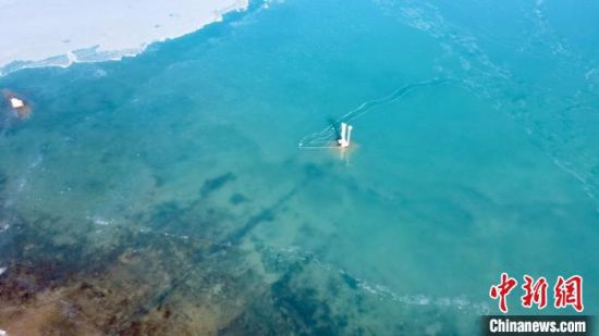 ͼΪ�����ຣ�������������