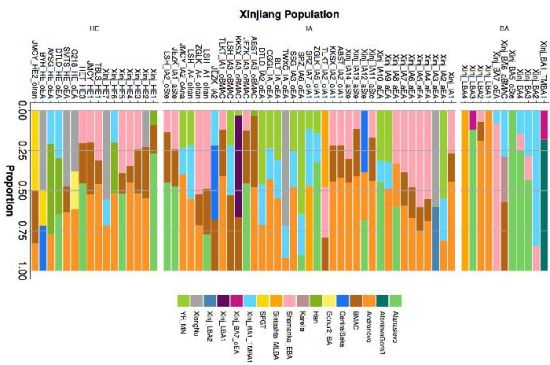��ͬʱ���½���Ⱥ��qpAdm admixture�������п�Ժ�ż�׵�� ��ͼ