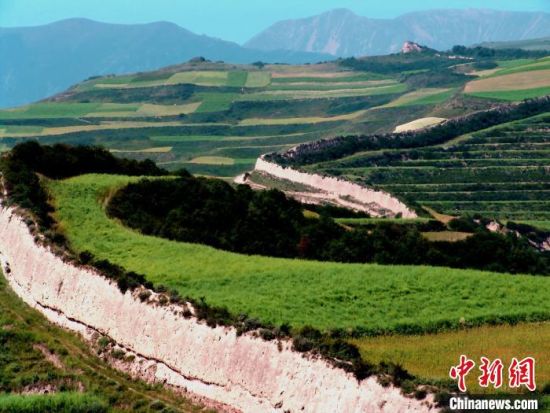 图为明长城大通段。 青海省文物局供图 图为明长城大通段。 青海省文物局供图