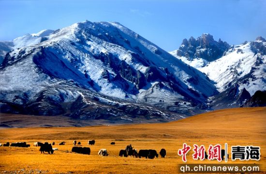 ͼΪÀ¥ÂØÉ½¡£ º£Î÷ÖÝίÐû´«²¿ ¹©Í¼ ͼΪÀ¥ÂØÉ½¡£ º£Î÷ÖÝίÐû´«²¿ ¹©Í¼