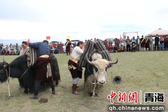 ͼΪ����ţ��Ȫ���繩ͼ