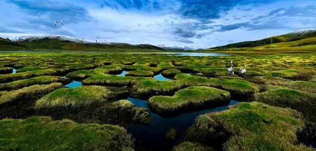 ¡����ʪ�ء�������ί��������ͼ