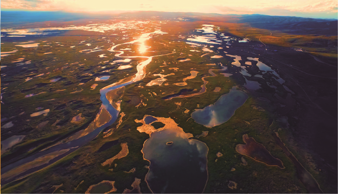 ���׽���״ˮϵ��������ί��������ͼ