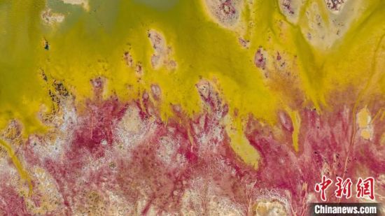 ͼΪ���ľ��صĶ���������ʪ�ع�԰�������衡��