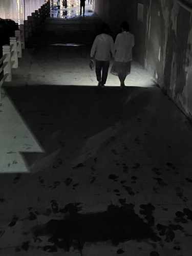 �������µ�����ͨ��û��·�ơ������˹�ͼ