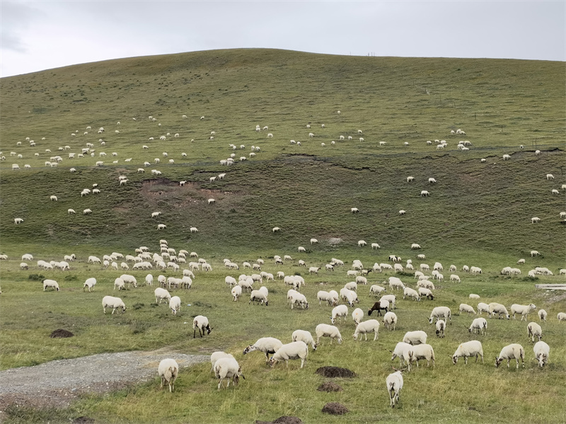 ��Ⱥ��ͬ����ί��������ͼ