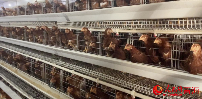 ����־����ֳ��������������������� ��������