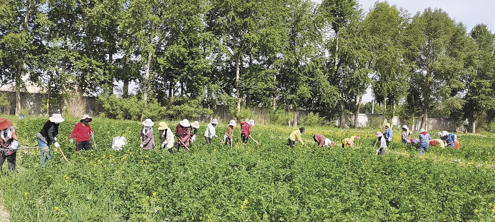 QQͼƬ20250227062133