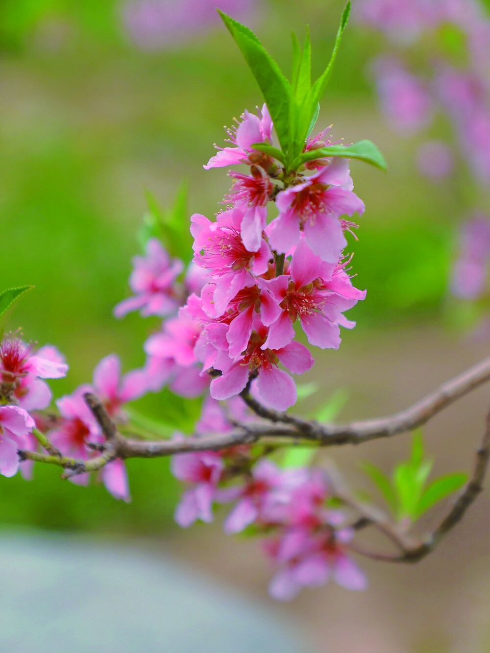 QQͼƬ20240418060839