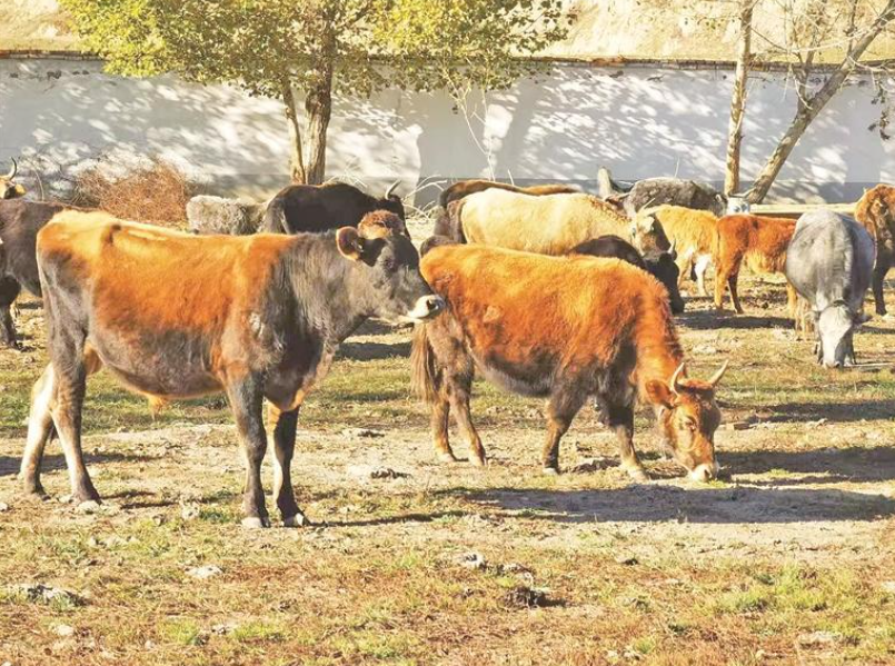 wechat_2025-10-31_055407_430