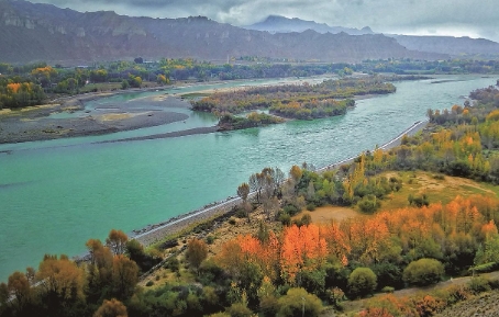 ΢Žͼ_20241111070923