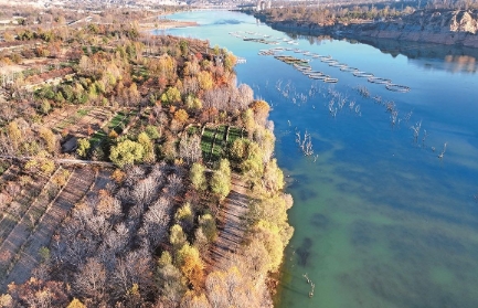 ΢Žͼ_20241111070937