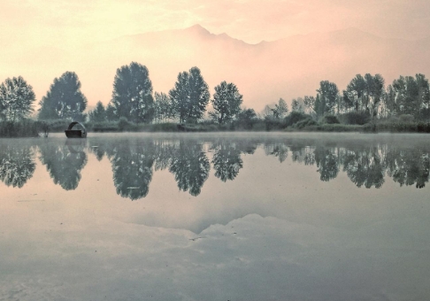 ΢Žͼ_20241111070952