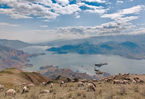 ΢Žͼ_20241111070959