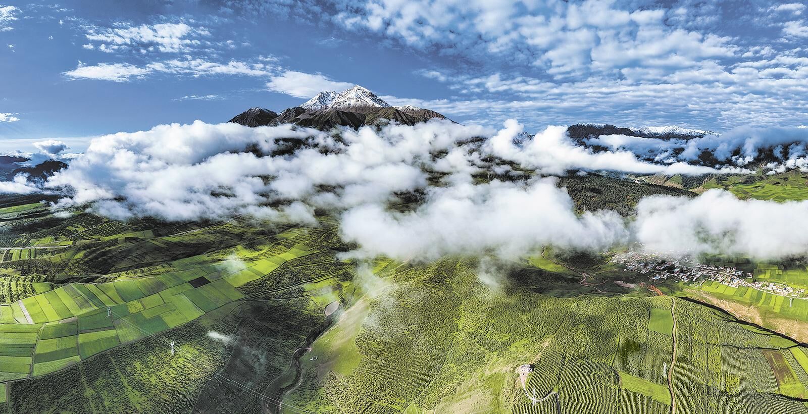 QQͼƬ20250423061542