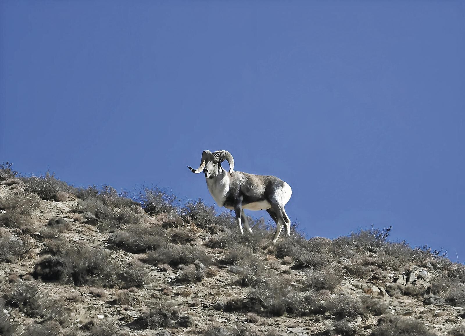 QQͼƬ20250611062316