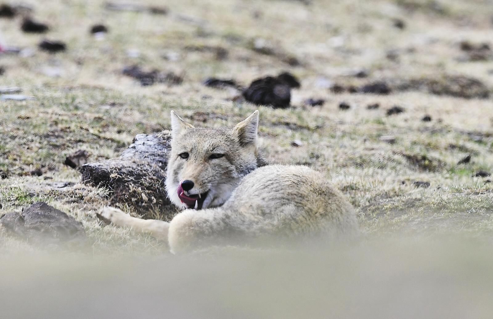 QQͼƬ20250611062354