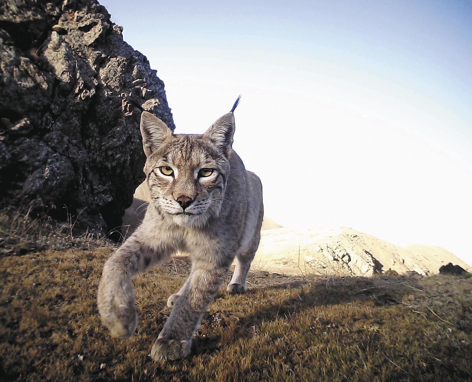 QQͼƬ20250611062345