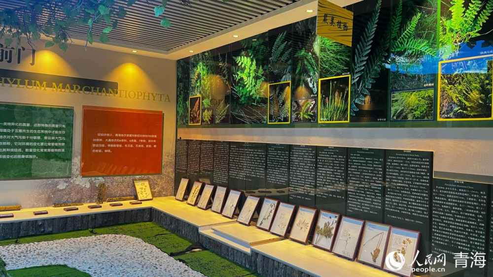 캹ɭֹ԰Կʵءʵϰ ˾