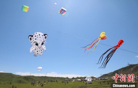 ͼΪ¸÷Àà·çóÝÆ®ÎèÔÚÇຣÈÕÔÂɽµÄÀ¶ÌìÂ̲ݼ䡣¡¡¡¡ÂíÃúÑÔ Éã ͼΪ¸÷Àà·çóÝÆ®ÎèÔÚÇຣÈÕÔÂɽµÄÀ¶ÌìÂ̲ݼ䡣¡¡¡¡ÂíÃúÑÔ Éã