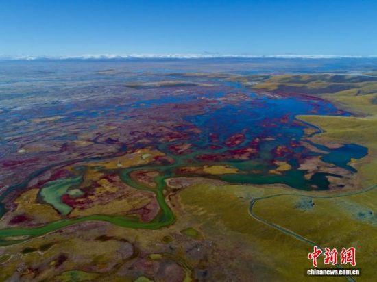 ͼΪ˻ຣʡغ(ͼ)ίͼ