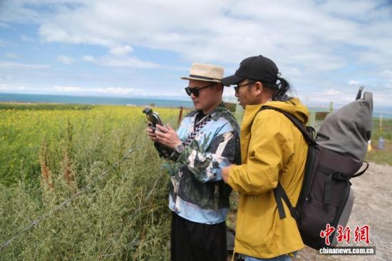 ͼΪ��α����ڲɷ����㡣����ƻ ��