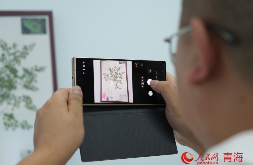 �ο����ຣʡ��ɺ���ҵ����Ȼ���չݲιۡ����������� �ʺ�����