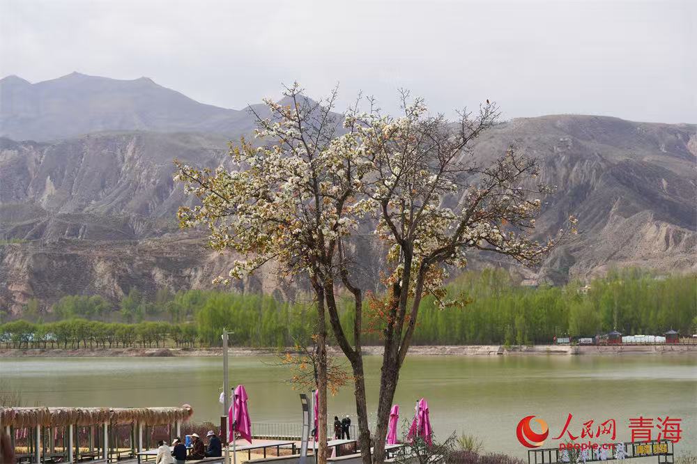 �Ǹ߸����ˮ�塣������ ��쳷���