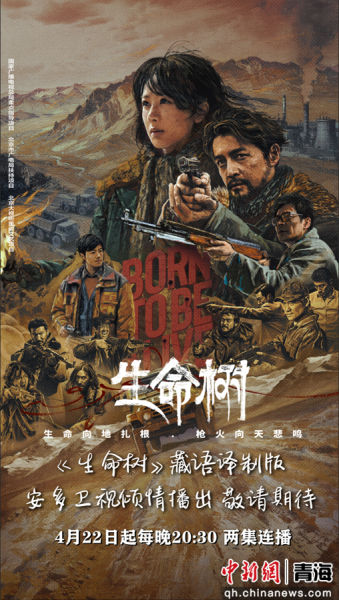 ͼΪ���Ӿ硶������������������ư������������������ӹ�ͼ