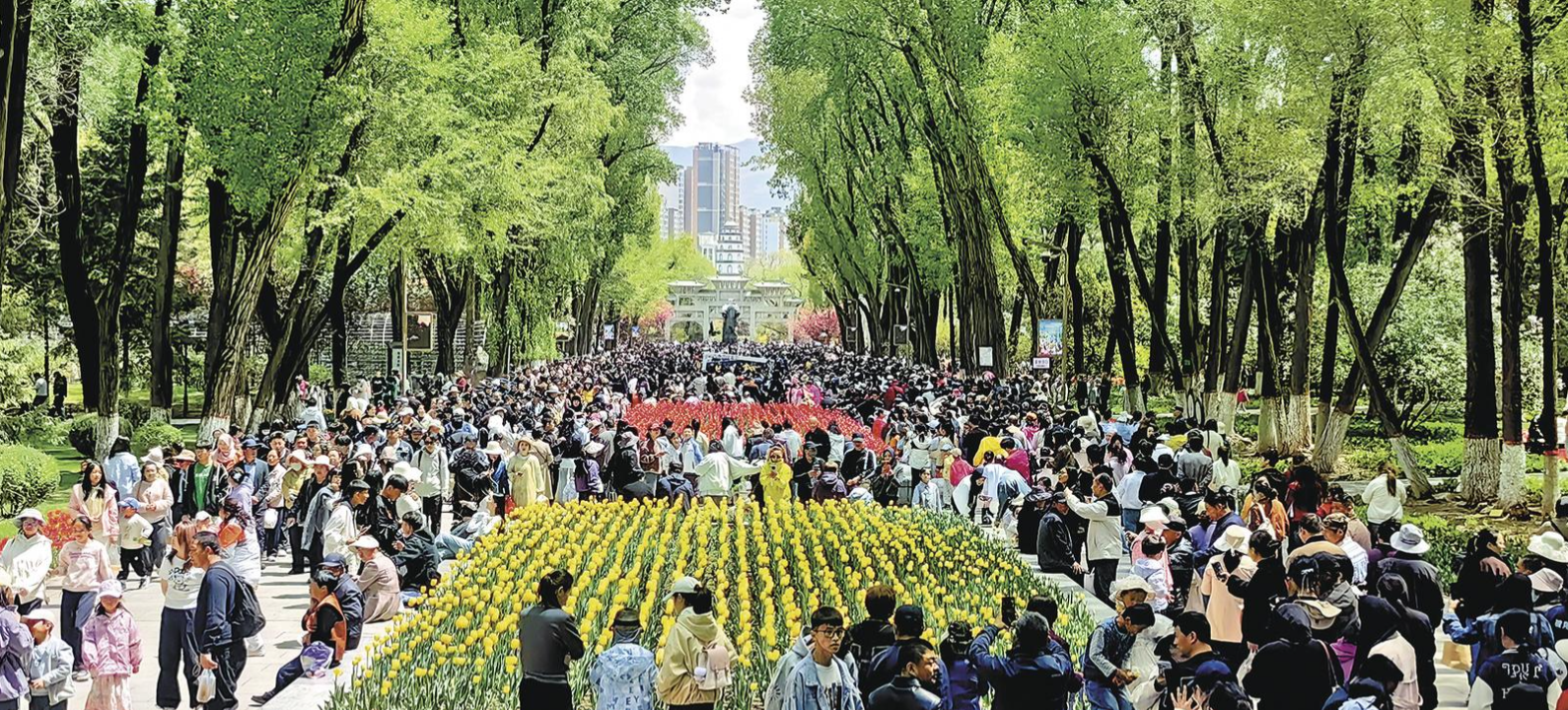 QQ20260506-063013