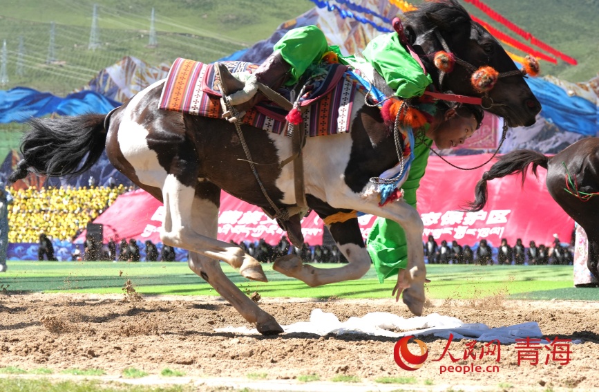 �������ݡ����������� �ʺ�����